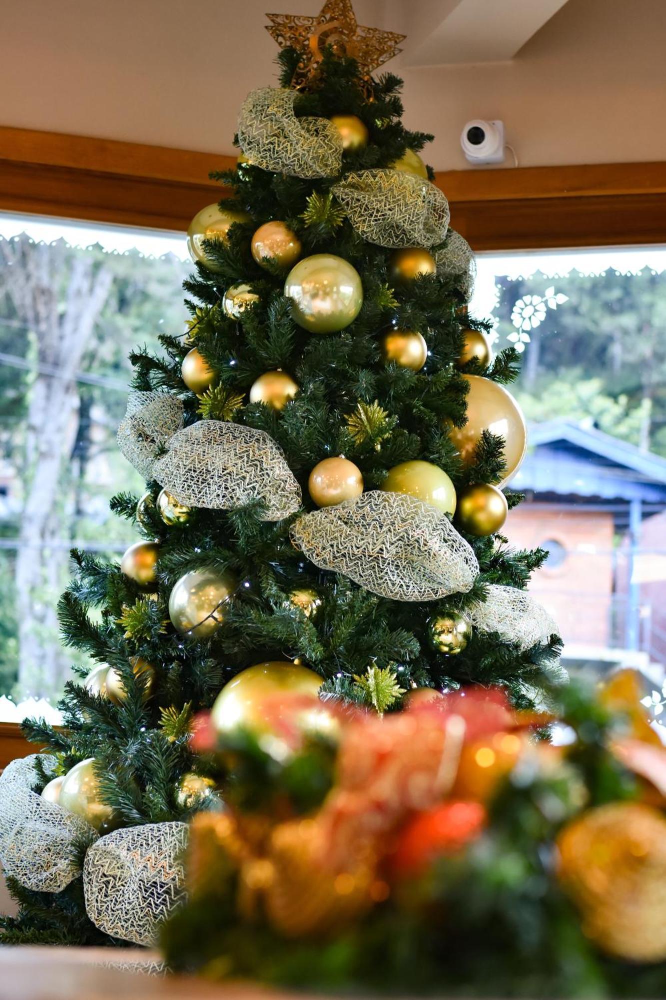 Borô 3* Gramado